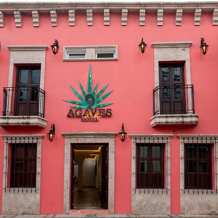 Nueve Agaves Hotel تيكيلا المظهر الخارجي الصورة